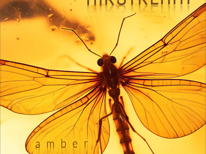 amber (hypno drive mix) (Single)