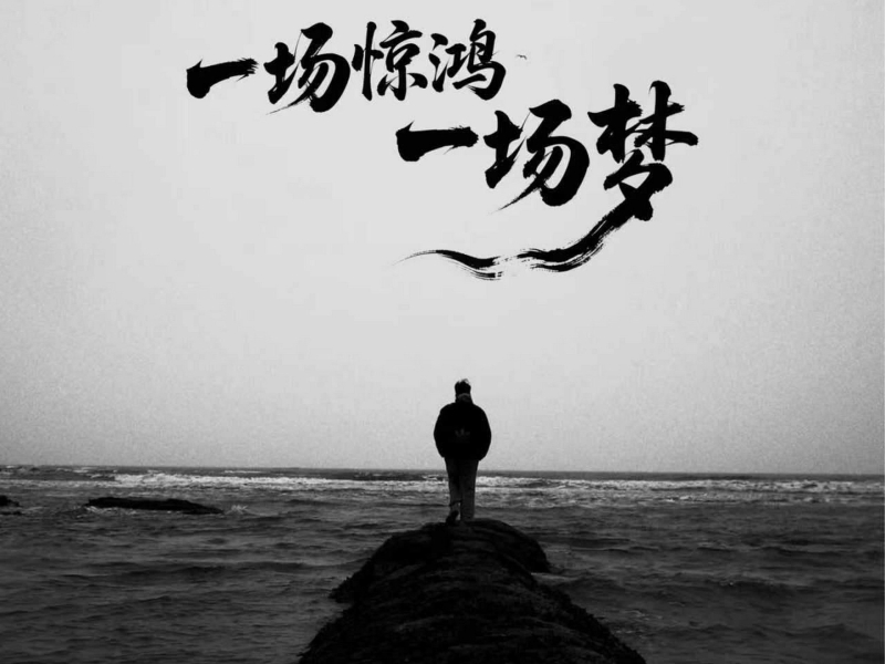 一场惊鸿一场梦 (Single)
