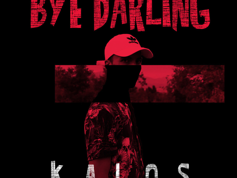 Bye Darling (Single)