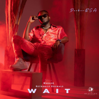 Wait (Single)