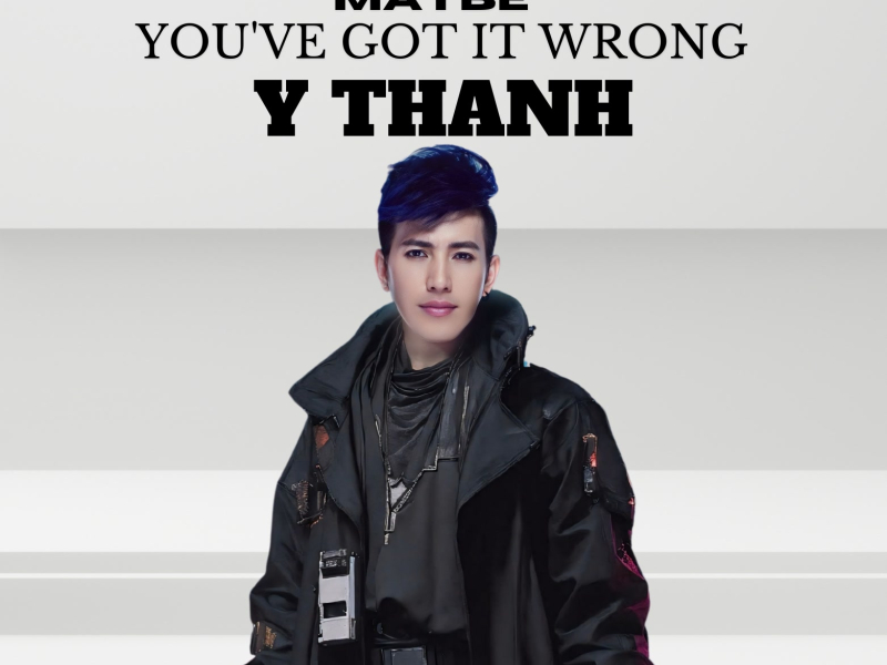 Maybe You've Got It Wrong (Single)