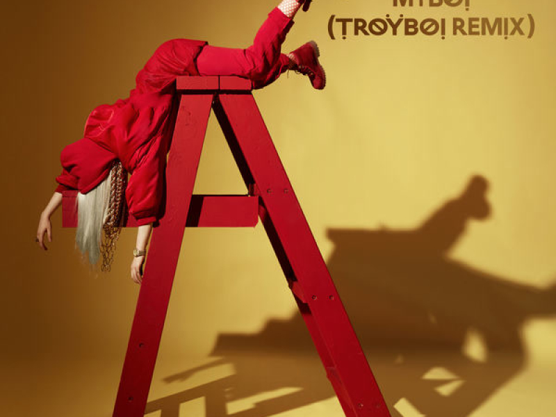 MyBoi (TroyBoi Remix)