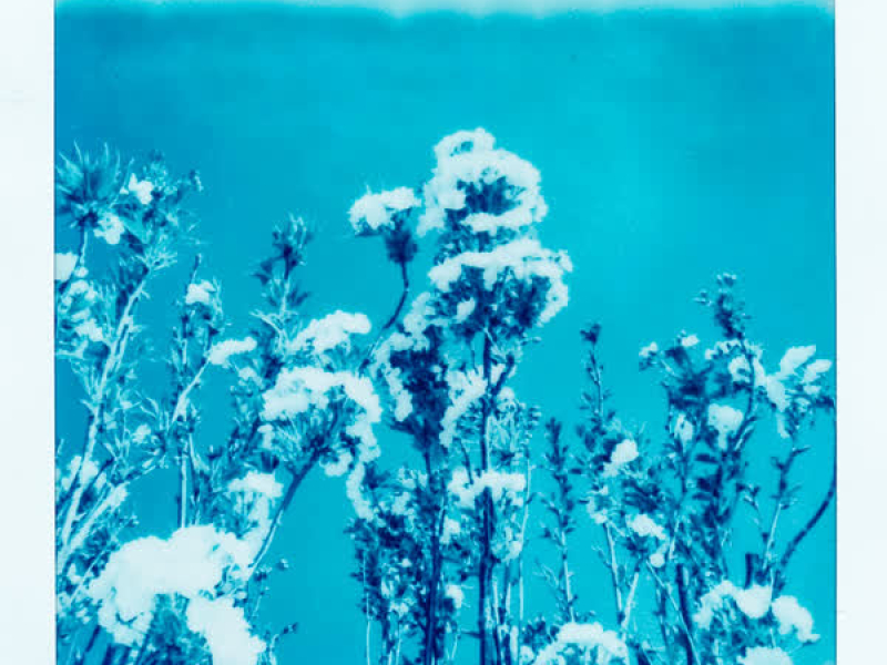 Stars Turn Blue (Single)