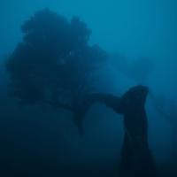 gone tomorrow (Single)