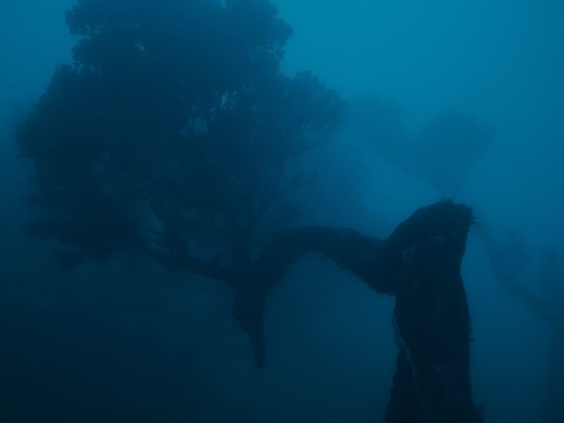 gone tomorrow (Single)