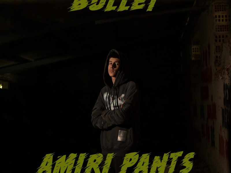 Amiri Pants (Single)