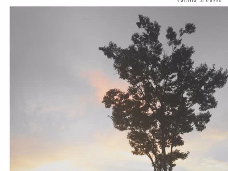 Missing You (Single)