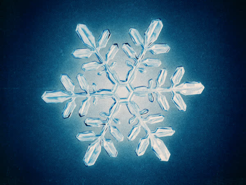 Last Christmas (Single)