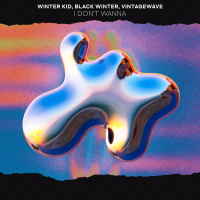 I Don't Wanna (Single)