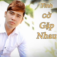 Tình Cờ Gặp Nhau (Single)
