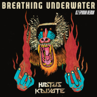 Breathing Underwater (DJ Spinna Galactic Soul Remix) (Single)