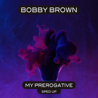 My Prerogative (Re-Recorded - Sped Up) (Single)