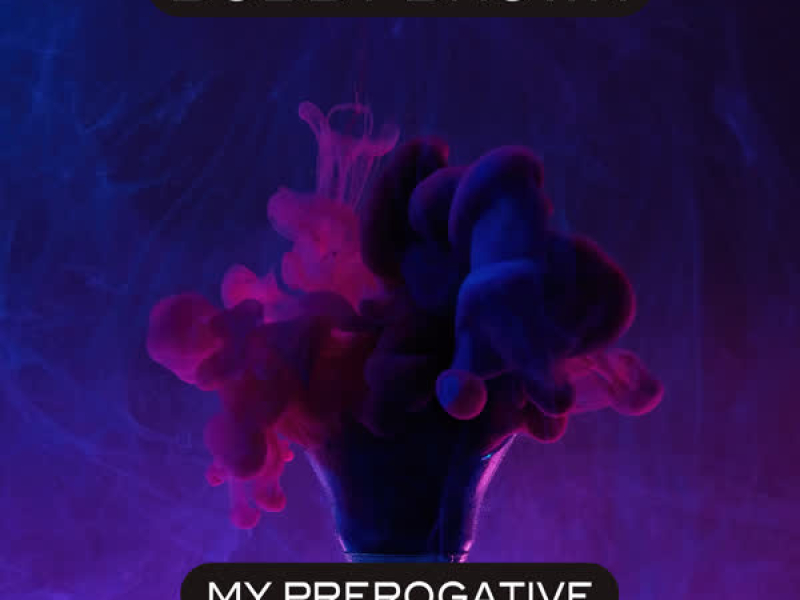 My Prerogative (Re-Recorded - Sped Up) (Single)