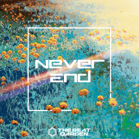 Never End (Single)