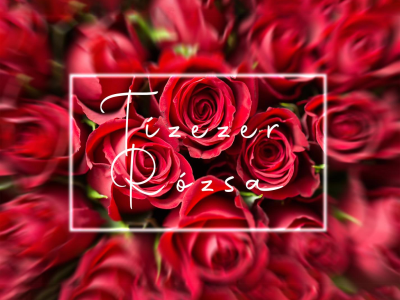 Tízezer Rózsa (Single)