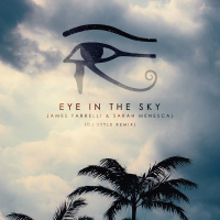 Eye in the Sky (Dj Style Remix) (Single)