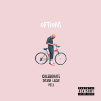 Options (feat. Pell & Sylvan Lacue)