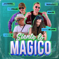 Siente lo Mágico (Suena a Reggae), Vol.26 (Single)