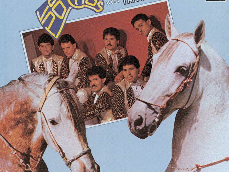 Los Potros Con Tambora