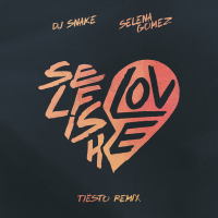 Selfish Love (Tiësto Remix) (Single)