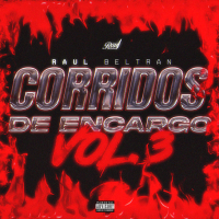 Corridos De Encargo, Vol. 3