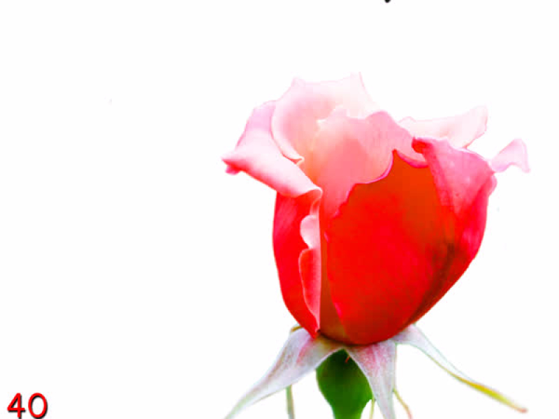 Love in Springtime: 40 Classic Songs