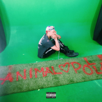 Animal (Single)