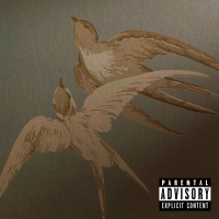 Voa Andorinha (Single)