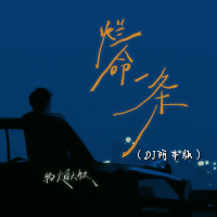 烂命一条 (DJ版) (Single)