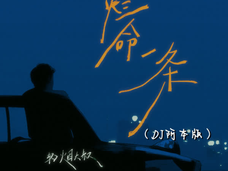 烂命一条 (DJ版) (Single)