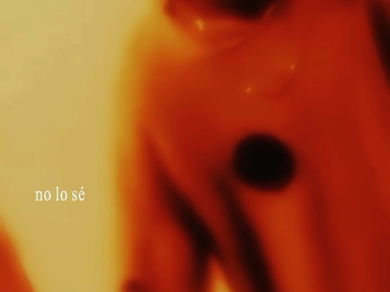 no lo sé ;v (Single)