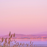 Ethereal Ambient Music With Calm Tonal Waves For Serenity And Quiet Sleep (Single)