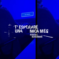 T'esperaré una mica més (Single)