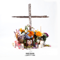 1 LÍDER NECESITA 1 LÍDER (Single)