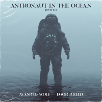 Astronaut In The Ocean (Egor Kreed Remix) (EP)