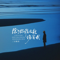 除了你谁还能伤害我 (EP)