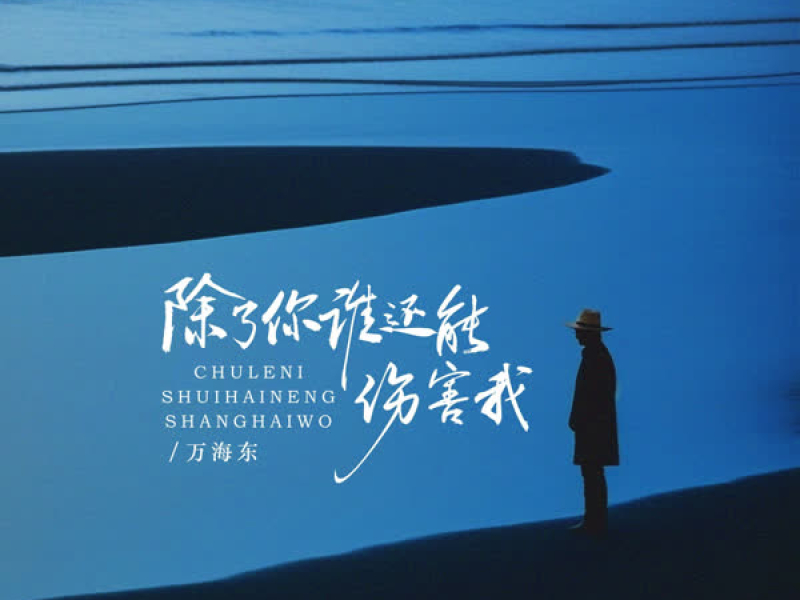 除了你谁还能伤害我 (EP)