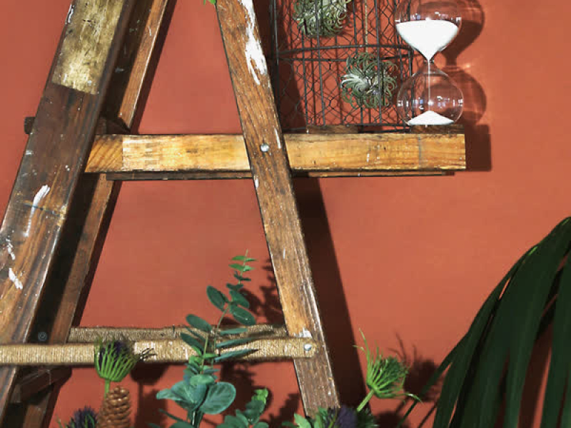 LISTEN 001 Rainbow Bird