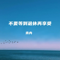 不要等到退休再享受 (Single)