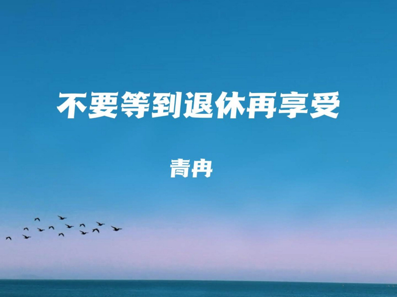 不要等到退休再享受 (Single)