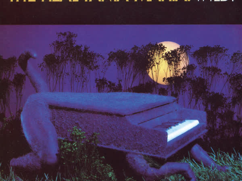 The Real Tania Maria: Wild!