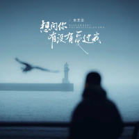 想问你有没有爱过我 (Single)
