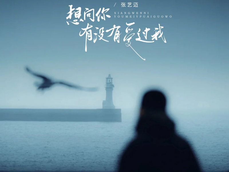 想问你有没有爱过我 (Single)