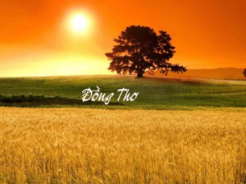 Đồng Thơ (Single)