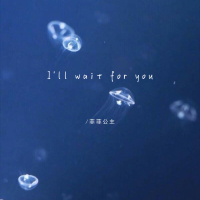 I'll wait for you (Single)