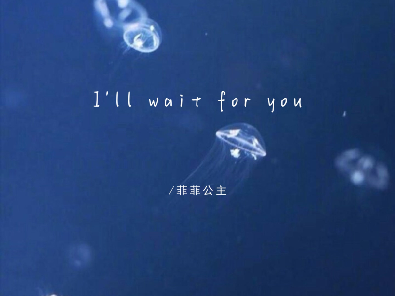 I'll wait for you (Single)