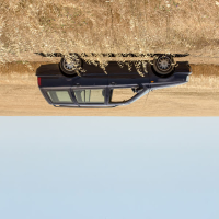 Volkswagen (2025) (Single)