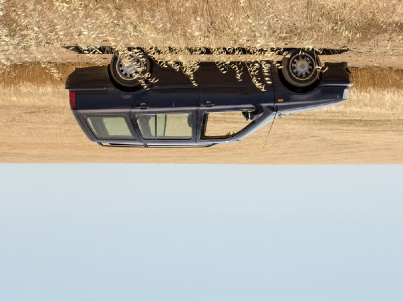 Volkswagen (2025) (Single)