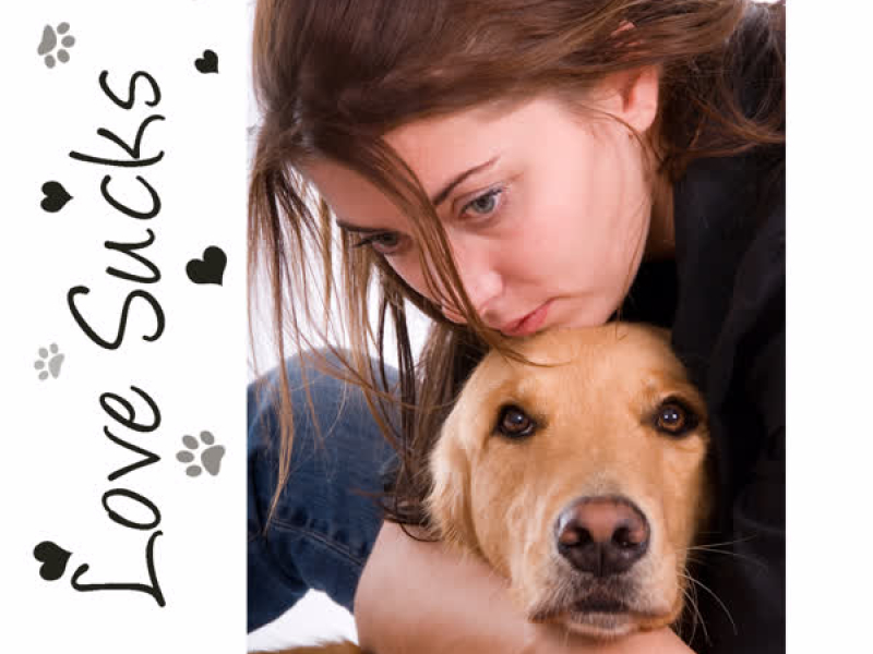 Love Sucks