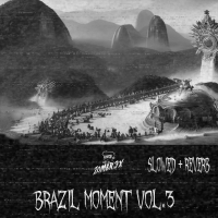 Brazil Moment, Vol. 3 (FUNK SLOWED + REVERB VERSION)